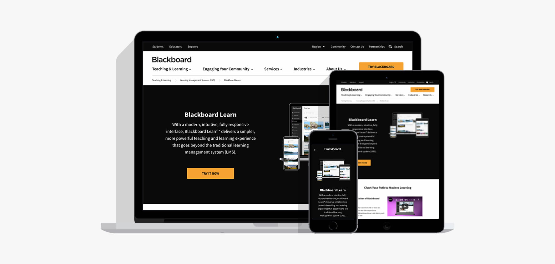 Blackboard Website